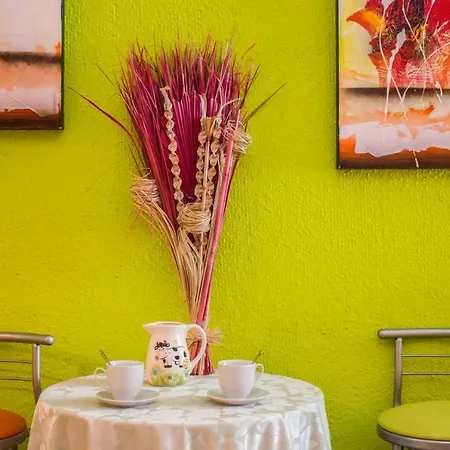 Holidays Apartamento Icod De Los Vinos
